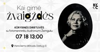 Kūrybinės dirbtuvės ''Kai gimė žvaigždės'' su fotomenininku Audroniumi Žemguliu
