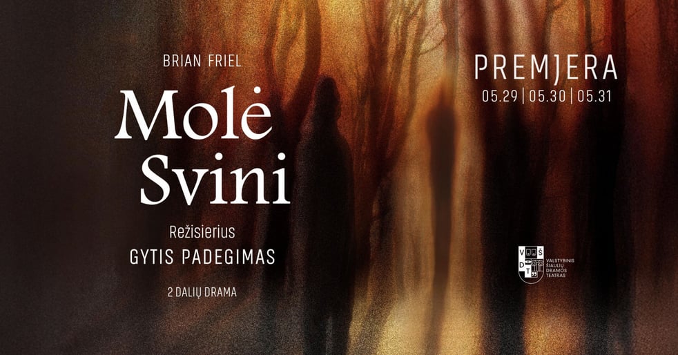 VŠDT premjera | MOLĖ SVINI | rež. Gytis Padegimas