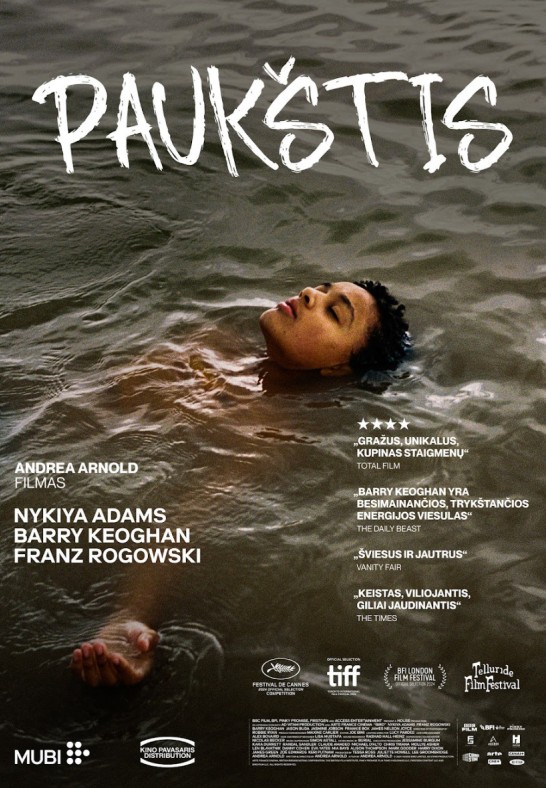 Paukštis (Skalvija)