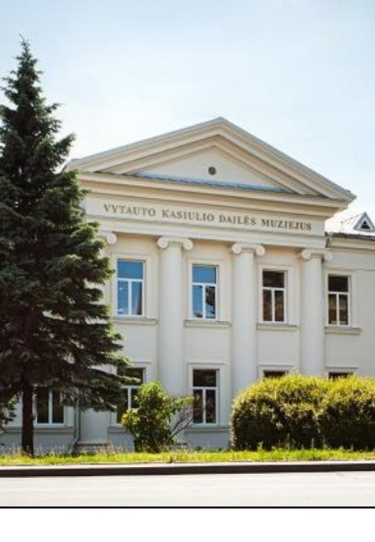 Vytauto Kasiulio dailės muziejus